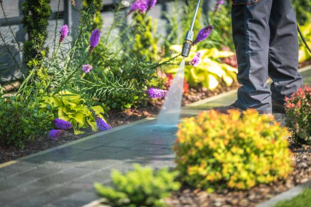 Best Dumpster Area Cleaning  in West Hazleton, PA