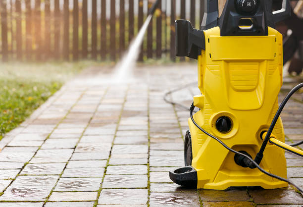 Animal Enclosure Cleaning in West Hazleton, PA